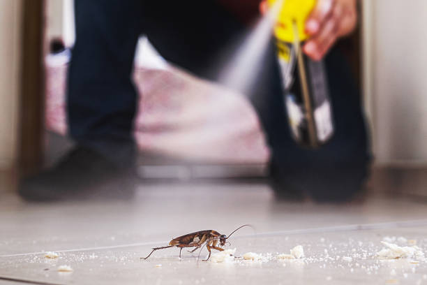 Best Local Pest Control Services  in Crafton, PA